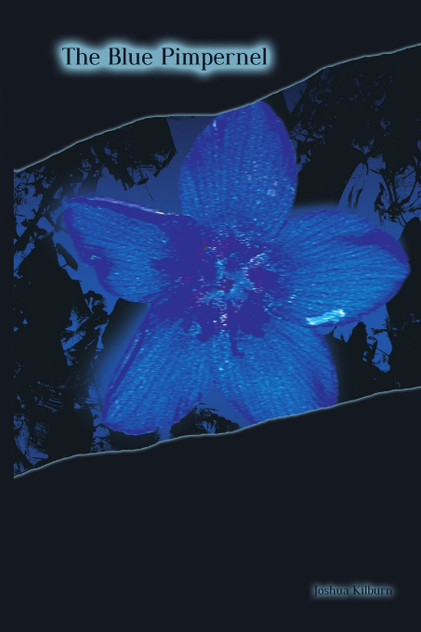 The Blue Pimpernel The Blue Pimpernel