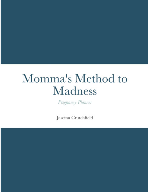 Momma's Method to Madness Blue Pregnancy Planner Momma's Method to Madness Blue Pregnancy Planner