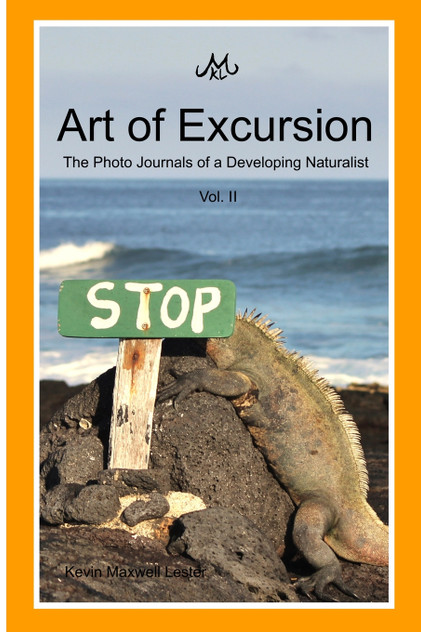 Art of Excursion Vol. 2 Art of Excursion Vol. 2