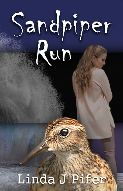 Sandpiper Run Sandpiper Run