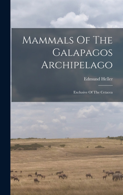 Mammals Of The Galapagos Archipelago Mammals Of The Galapagos Archipelago
