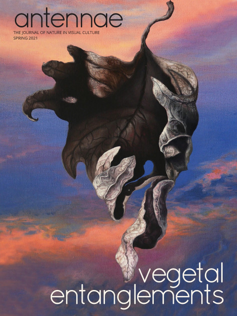 Antennae #53 Vegetal Entanglements #3 Antennae #53 Vegetal Entanglements #3