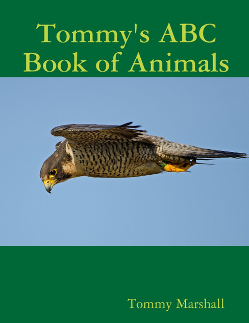 Tommy's ABC Book of Animals Tommy's ABC Book of Animals