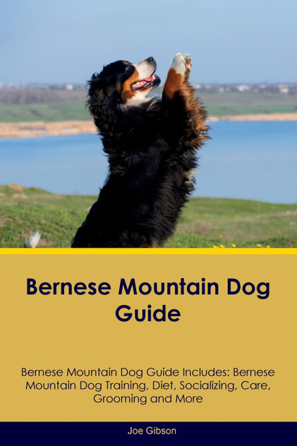 Bernese Mountain Dog Guide Bernese Mountain Dog Guide Includes Bernese Mountain Dog Guide Bernese Mountain Dog Guide Includes