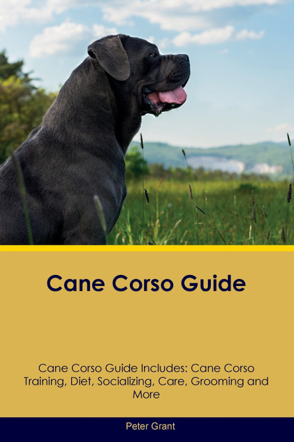 Cane Corso Guide Cane Corso Guide Includes Cane Corso Guide Cane Corso Guide Includes