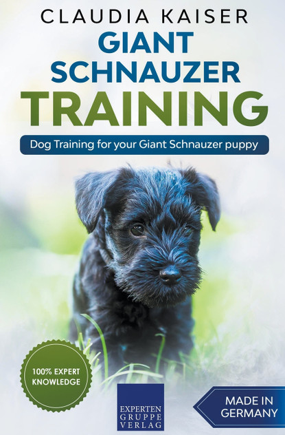 Giant Schnauzer Training - Dog Training for your Giant Schnauzer puppy Giant Schnauzer Training - Dog Training for your Giant Schnauzer puppy