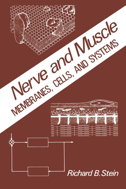 Nerve and Muscle Nerve and Muscle