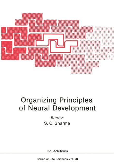Organizing Principles of Neural Development