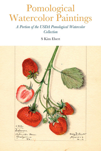 Pomological Watercolor Paintings Pomological Watercolor Paintings