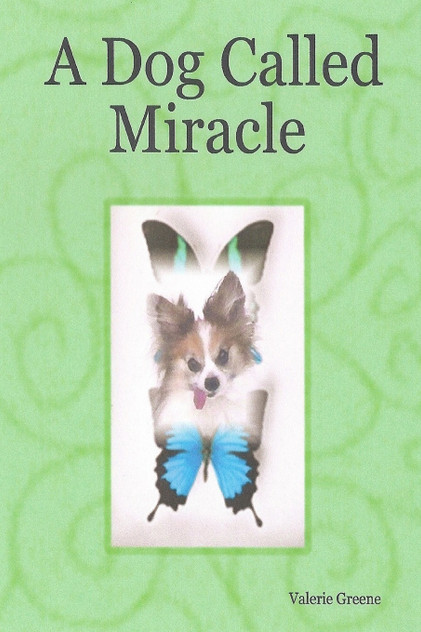 A Dog Called Miracle A Dog Called Miracle
