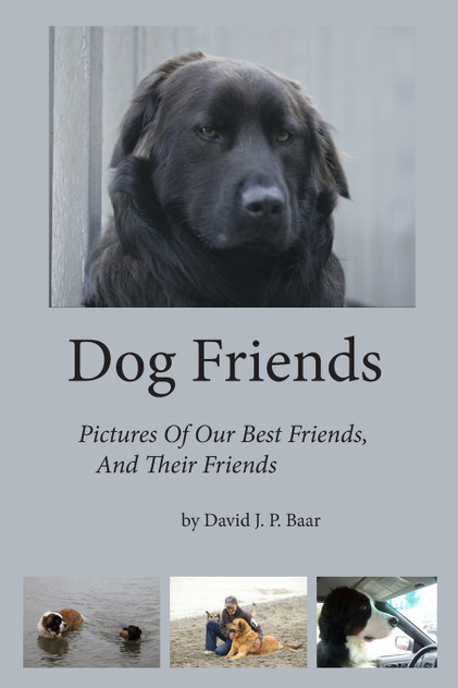 Dog Friends Dog Friends