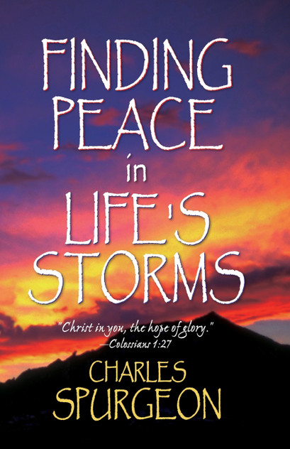 Finding Peace in Life's Storms