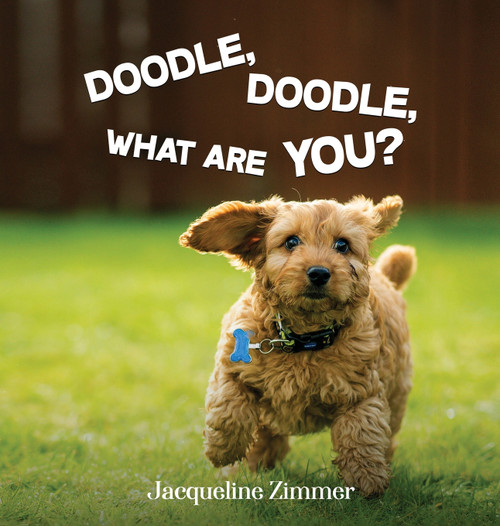DOODLE, DOODLE, WHAT ARE YOU? DOODLE, DOODLE, WHAT ARE YOU?