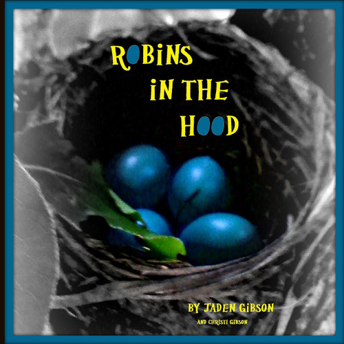 Robins in the Hood Robins in the Hood