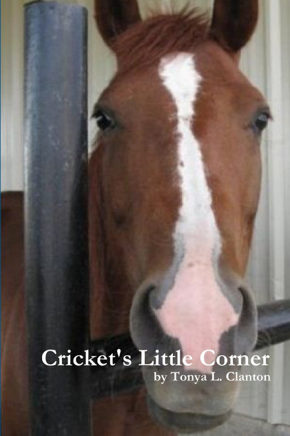 Cricket's Little Corner Cricket's Little Corner