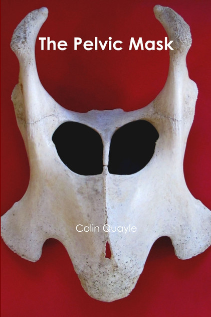 The Pelvic Mask The Pelvic Mask