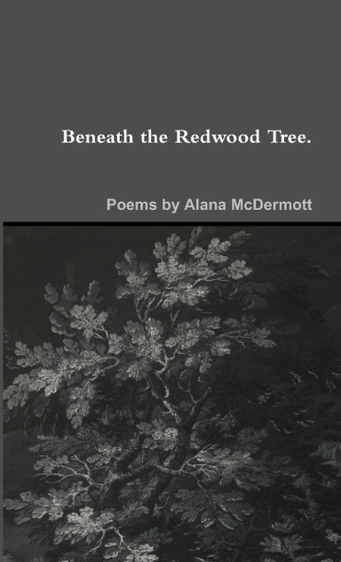 Beneath the Redwood Tree.