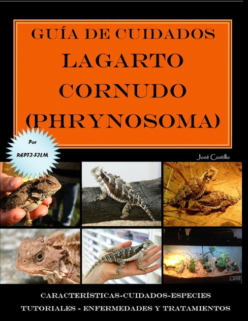 Guía de cuidados del lagarto cornudo (Phrynosoma) Versión económica Guía de cuidados del lagarto cornudo (Phrynosoma) Versión económica