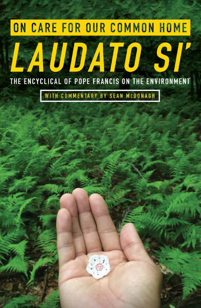 On Care for Our Common Home, Laudato Si'