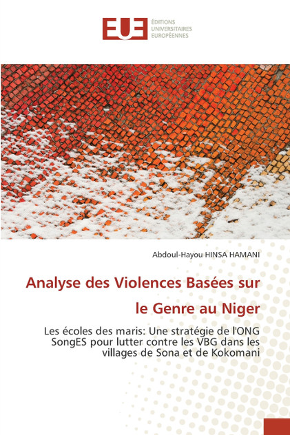 Analyse des Violences Basées sur le Genre au Niger