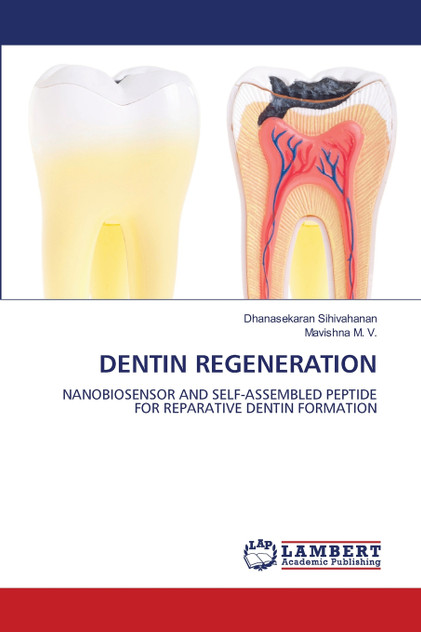 DENTIN REGENERATION DENTIN REGENERATION