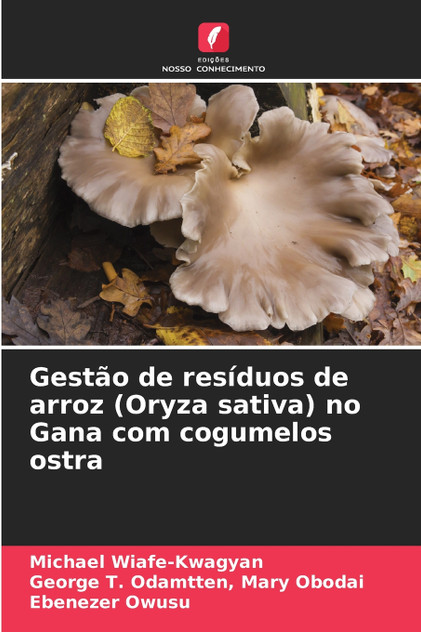 Gestão de resíduos de arroz (Oryza sativa) no Gana com cogumelos ostra