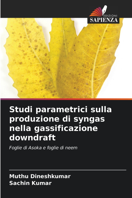 Studi parametrici sulla produzione di syngas nella gassificazione downdraft