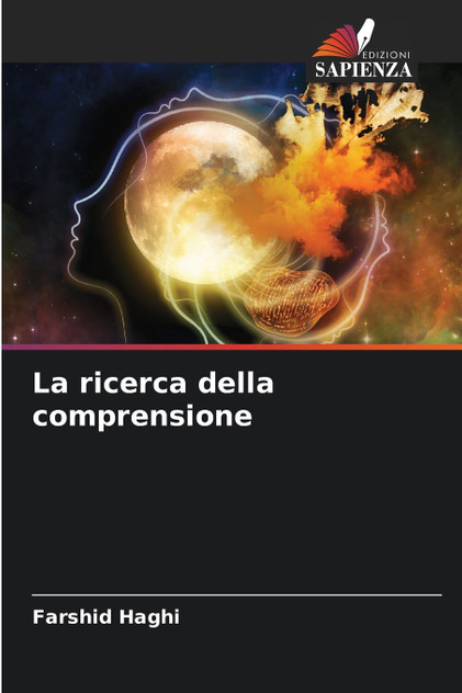 La ricerca della comprensione