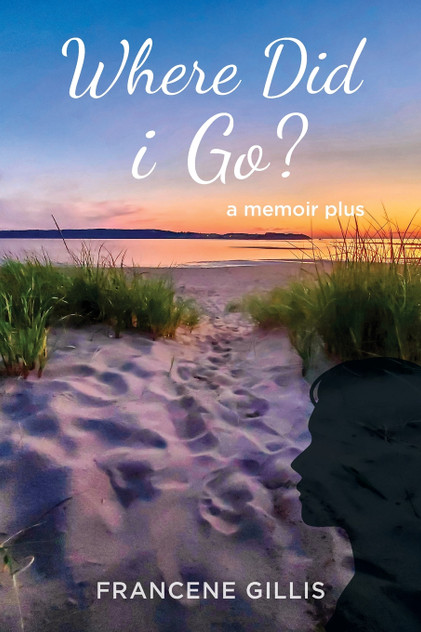 Where Did i Go? a Memoir Plus