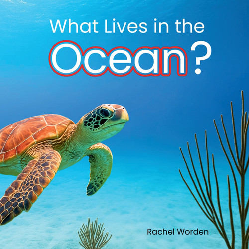 What Lives in the Ocean
