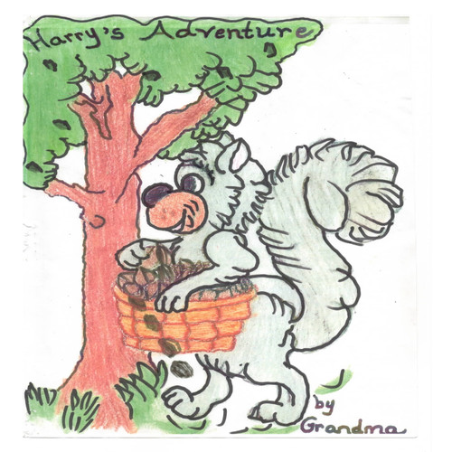 Harry's Adventure Harry's Adventure