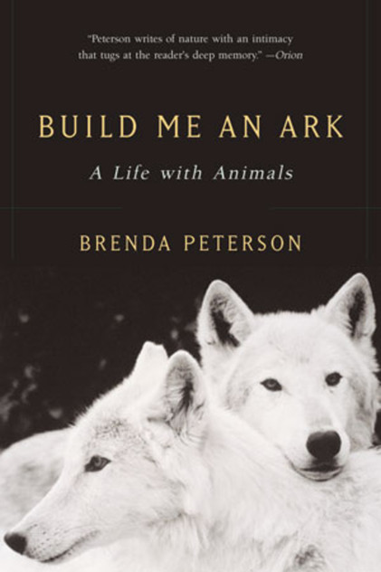 Build Me an Ark Build Me an Ark