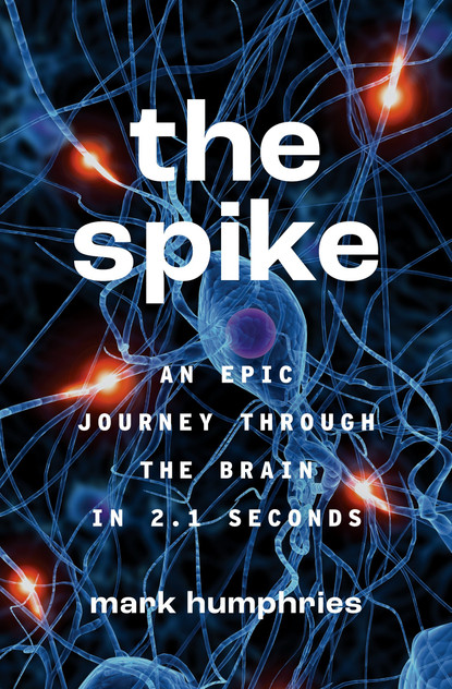 The Spike The Spike