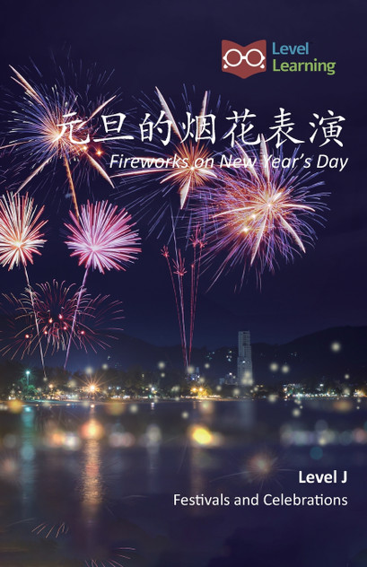 元旦的烟花表演 : Fireworks on New Year's Day by Level Learning (Paperback)