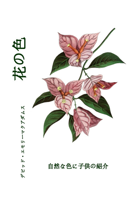 花の色 : 自然な色に子供の紹介 by David E. McAdams (Paperback)