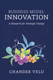 Business Model Innovation : A Blueprint for Strategic Change (Hardcover)
