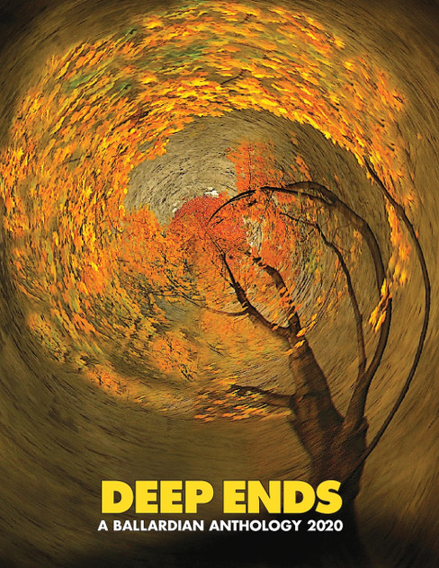 Deep Ends : A Ballardian Anthology 2020 by Rick McGrath (Paperback)