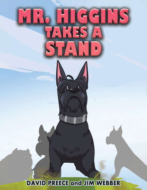 Mr. Higgins Takes a Stand by David Preece (Paperback)