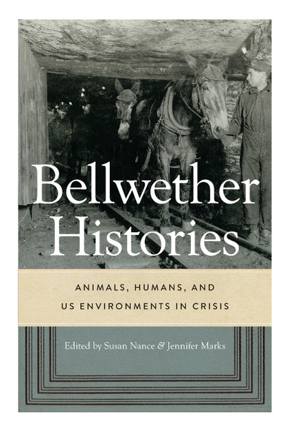 Bellwether Histories by Susan Nance (Paperback)