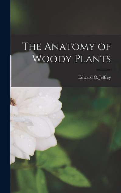 The Anatomy of Woody Plants by Edward C. b. 1866 Jeffrey (Hardcover)