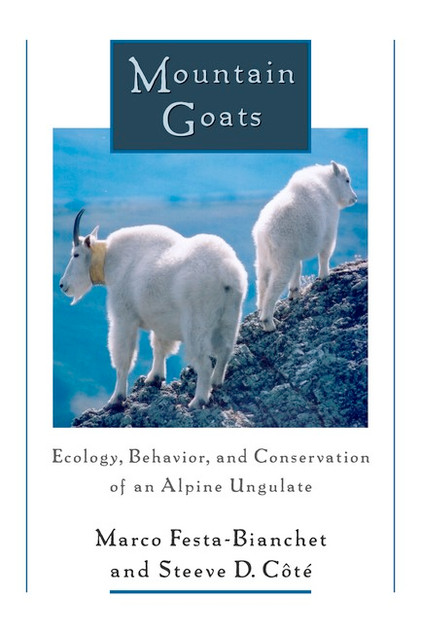 Mountain Goats: