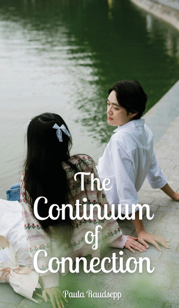 The Continuum of Connection by Paula Raudsepp (Hardcover)