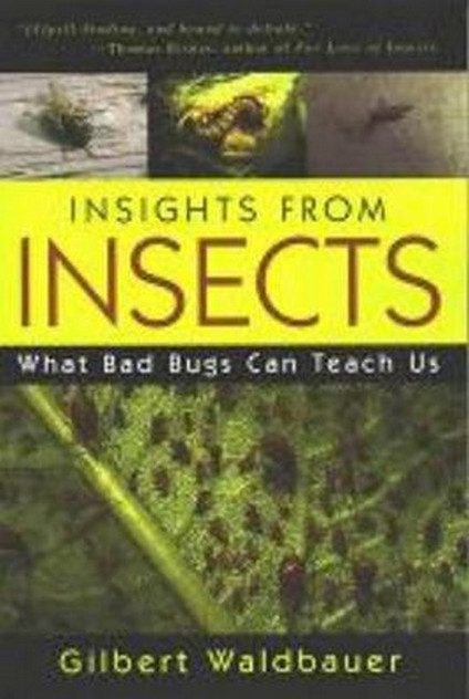 Insights From Insects