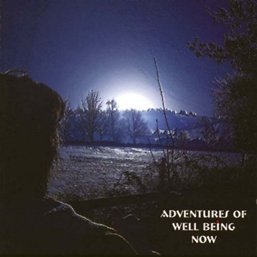 Adventures of Well Being Now