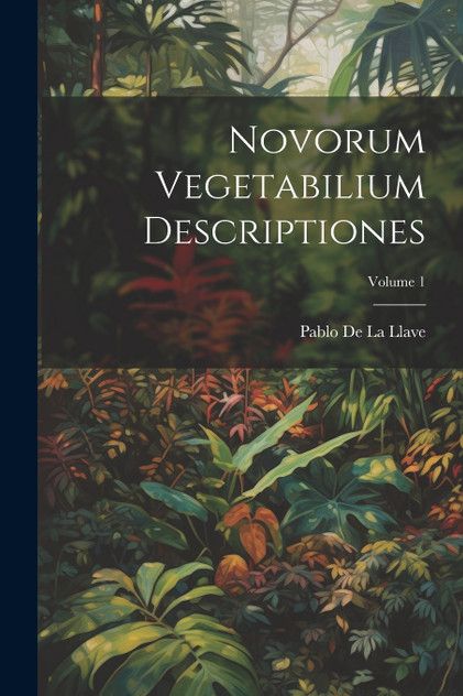Novorum Vegetabilium Descriptiones; Volume 1 by Pablo De La Llave (Paperback)