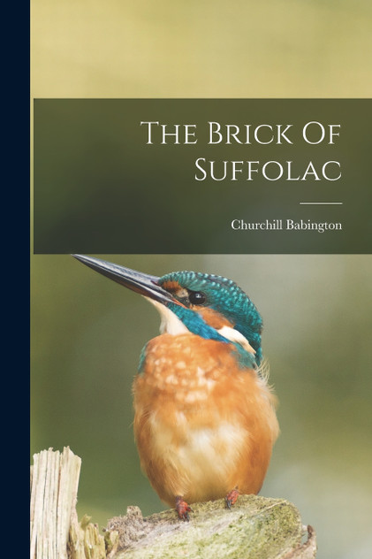 The Brick Of Suffolac by Churchill Babington (Paperback)