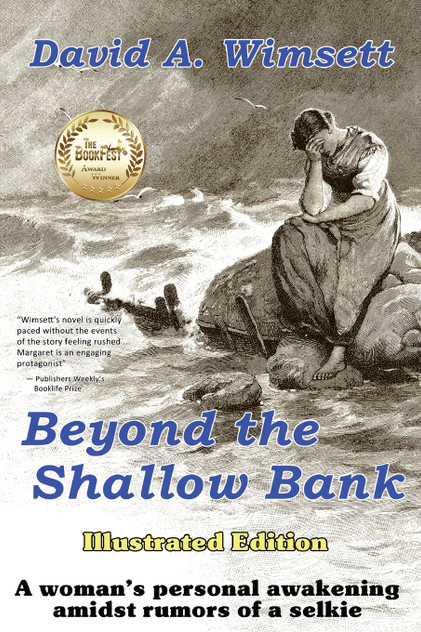Beyond the Shallow Bank by David Wimsett (Paperback)