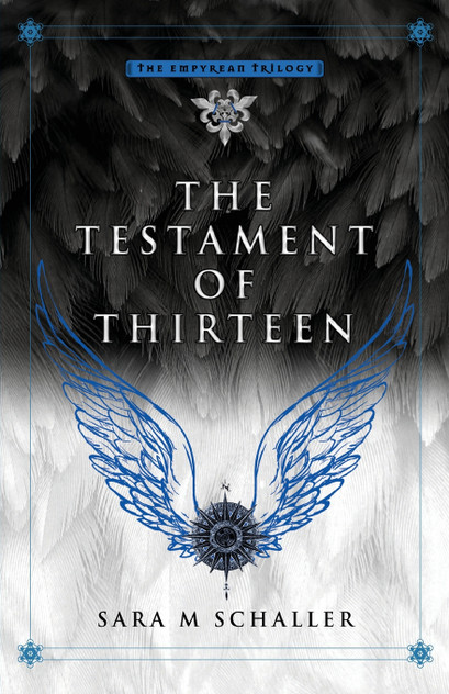 The Testament of Thirteen by Sara M Schaller (Paperback)