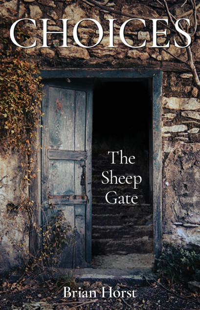 Choices : The Sheep Gate by Brian Horst (Paperback)