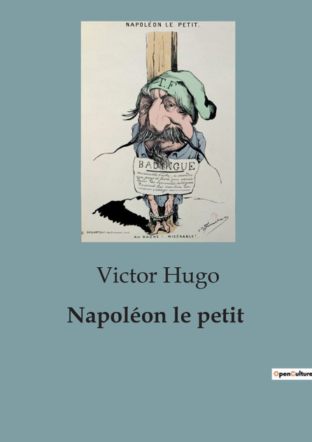 Napoléon le petit : édition définitive d'après les manuscrits originaux by Victor Hugo (Paperback)